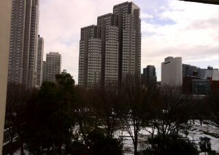 降雪の翌日の都庁舎.jpg