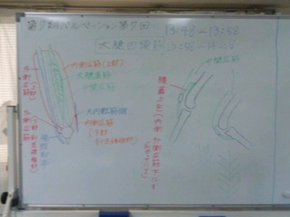 7期7回大腿四頭筋.jpg