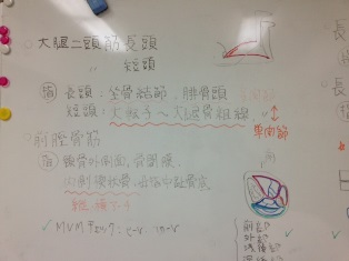 下腿 2.jpg