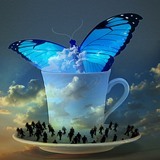 butterfly.jpg