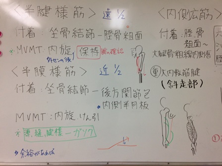 hokou2.jpg